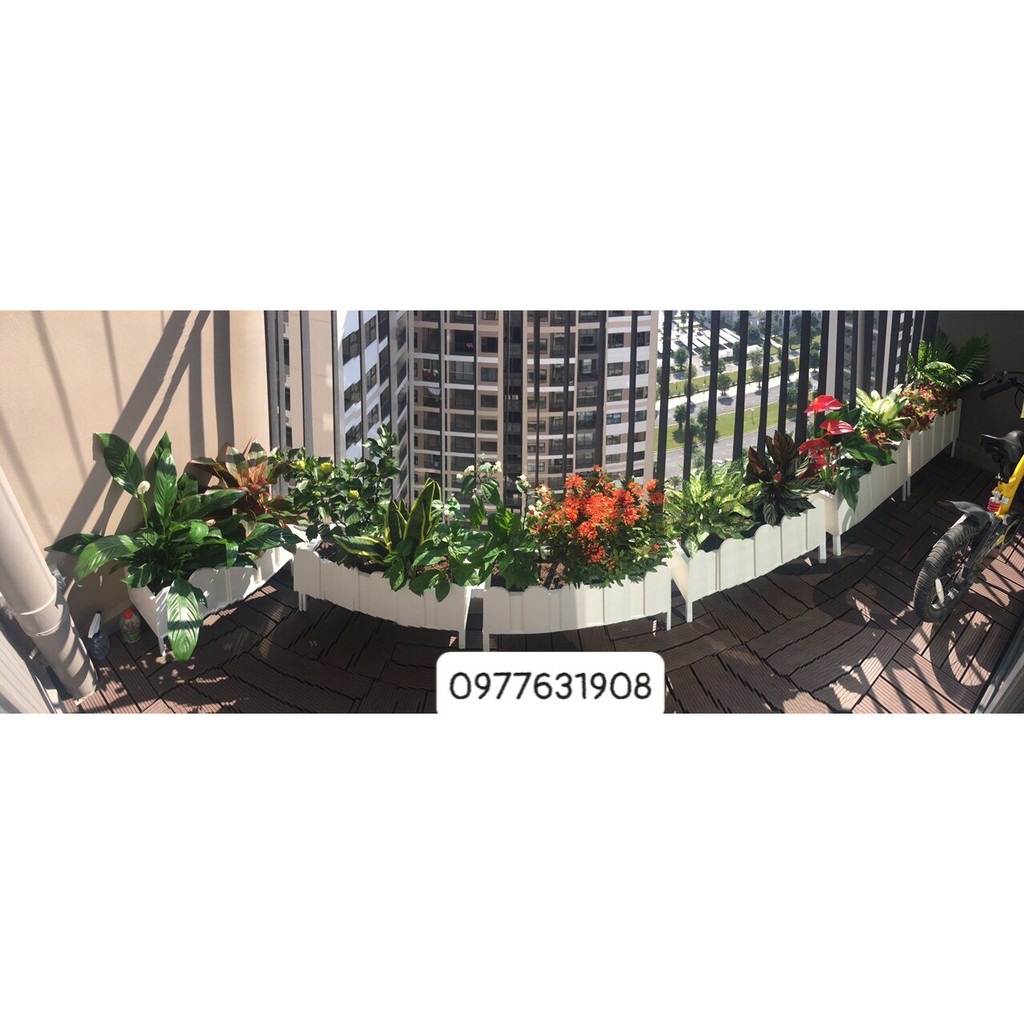 Chậu hàng rào composite trồng cây, trồng rau