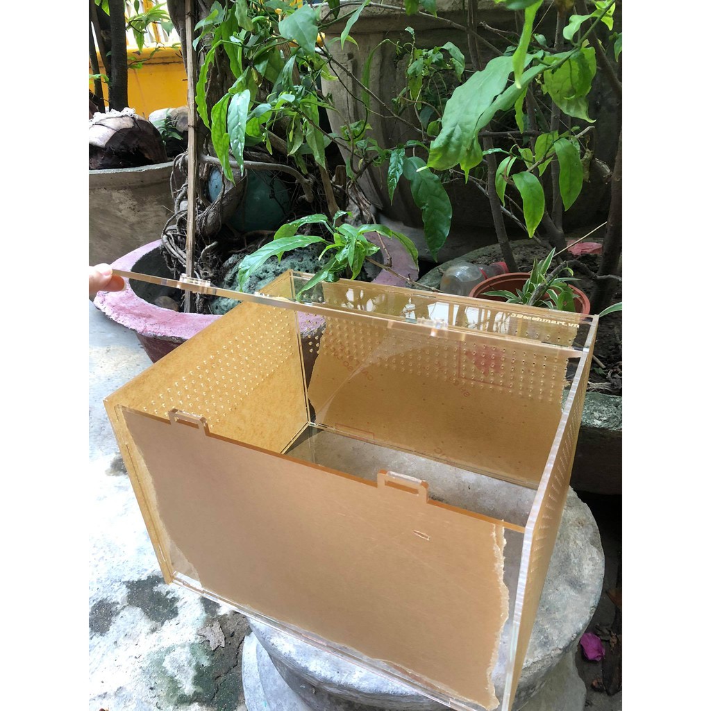 Hộp Nuôi Nhện/ Rết/ Rùa/ Ếch/ LG/bò sát...mica cao cấp KT 30x20x20