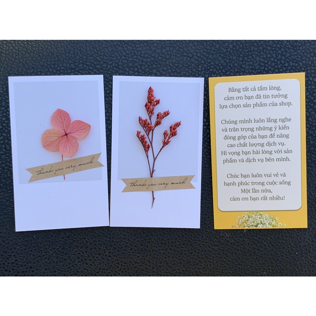 50 Thiệp, card cảm ơn HOA KHÔ, HOA THẬT