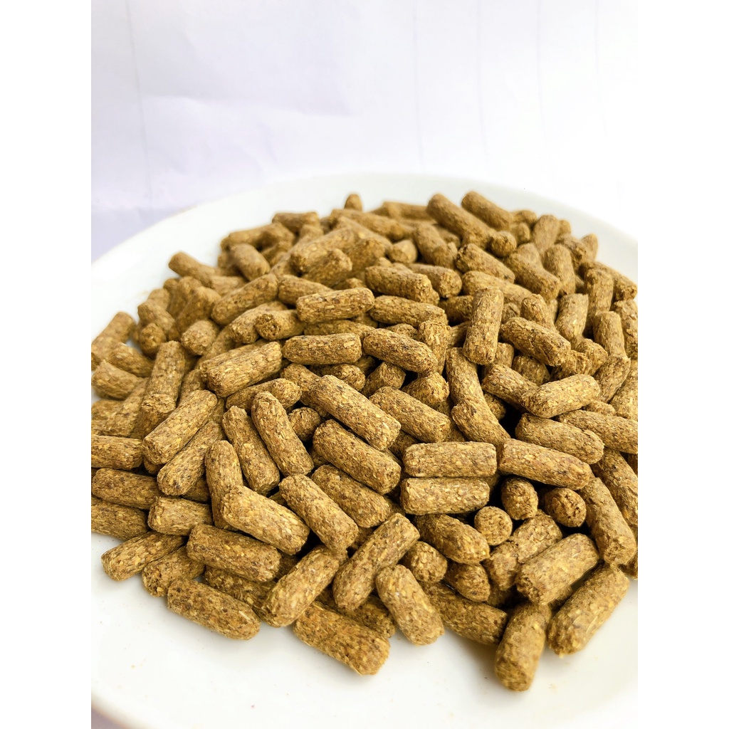 Thức Ăn Rùa Cạn Mazuri 5E5L 100gr  FREE SHIP  Rùa Cạn Mazuri 5E5L CHÍNH HÃNG Dành Cho Rùa Cạn, Bò Sát