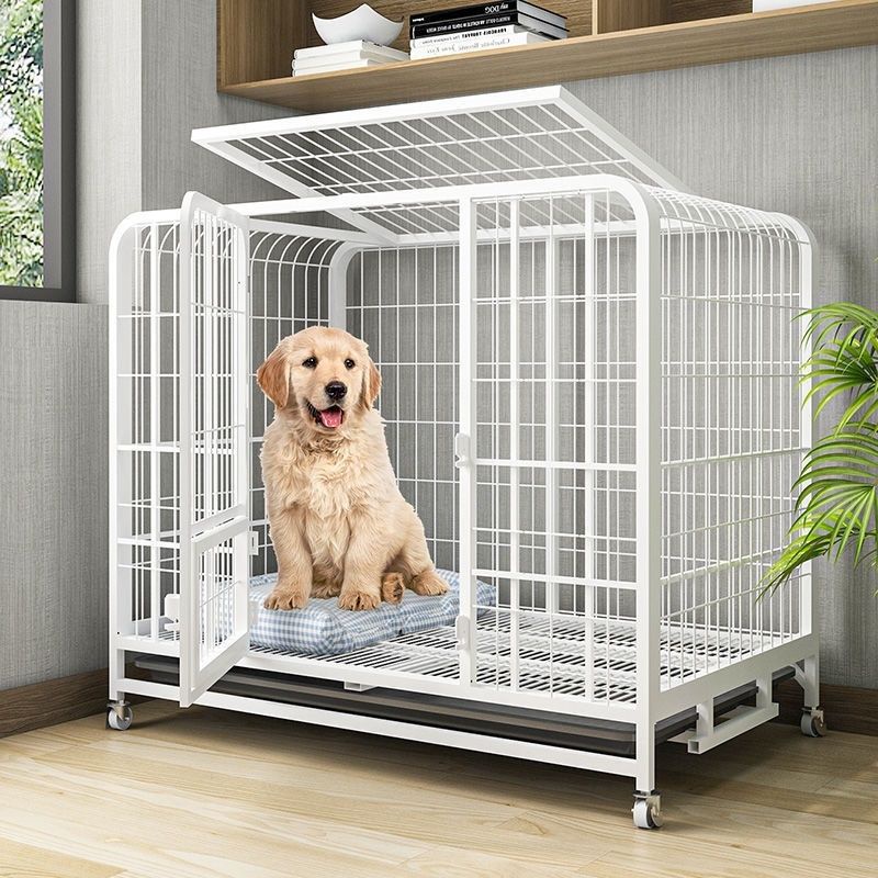 Chuồng chó gia đình sử dụng vật nuôi cỡ nhỏ và trung bình Teddy mang theo nhà vệ sinh ngoài trời hàng rào lớn trong chuồ