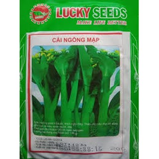 Hạt giống rau cải ngồng mập (20g)