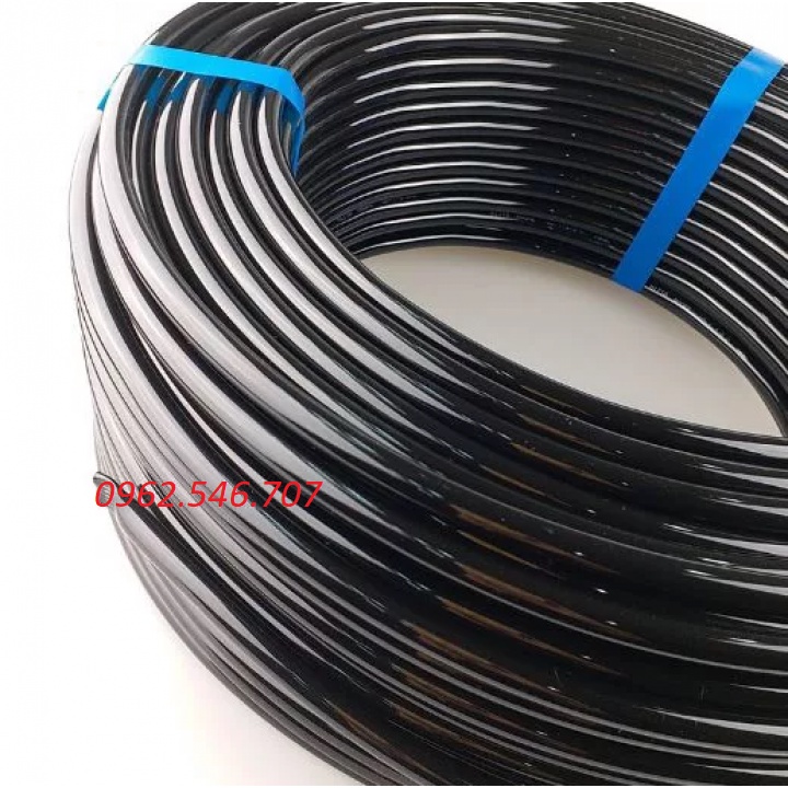 Dây rửa xe cho máy bơm mini 12v