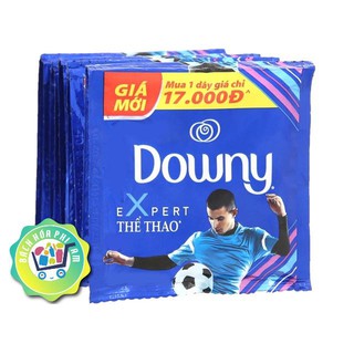 Nước xả vải Downy Làn Gió Mát (10 gói)