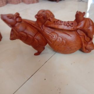 Chuột gỗ hương