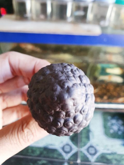 TƯỢNG PHẬT TRANG TRÍ HỒ CÁ NON BỘ CAO 8CM