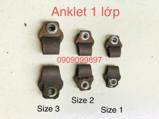 Dây chân chim spa, kestrel, bersa, shikra, hoppy, diều trắng