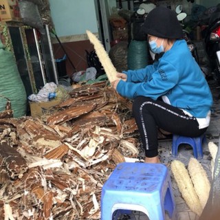 Xơ mướp tắm