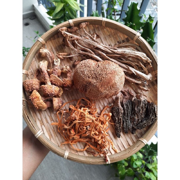 Set canh nấm kháng thể
