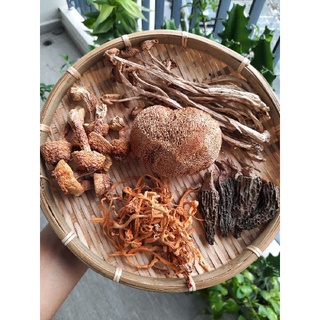 Set canh nấm kháng thể ( 5 loại nấm quý )