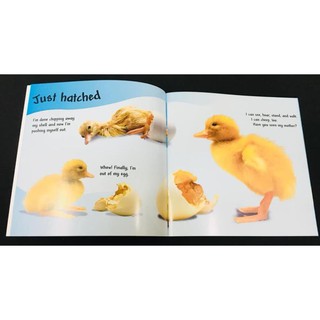 [Freeship- Xả Kho ] Đồ chơi 14q - See how they grow