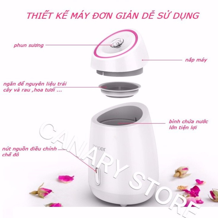 Máy xông da mặt thảo dược, hoa quả tươi tự động Maoer 2 in 1