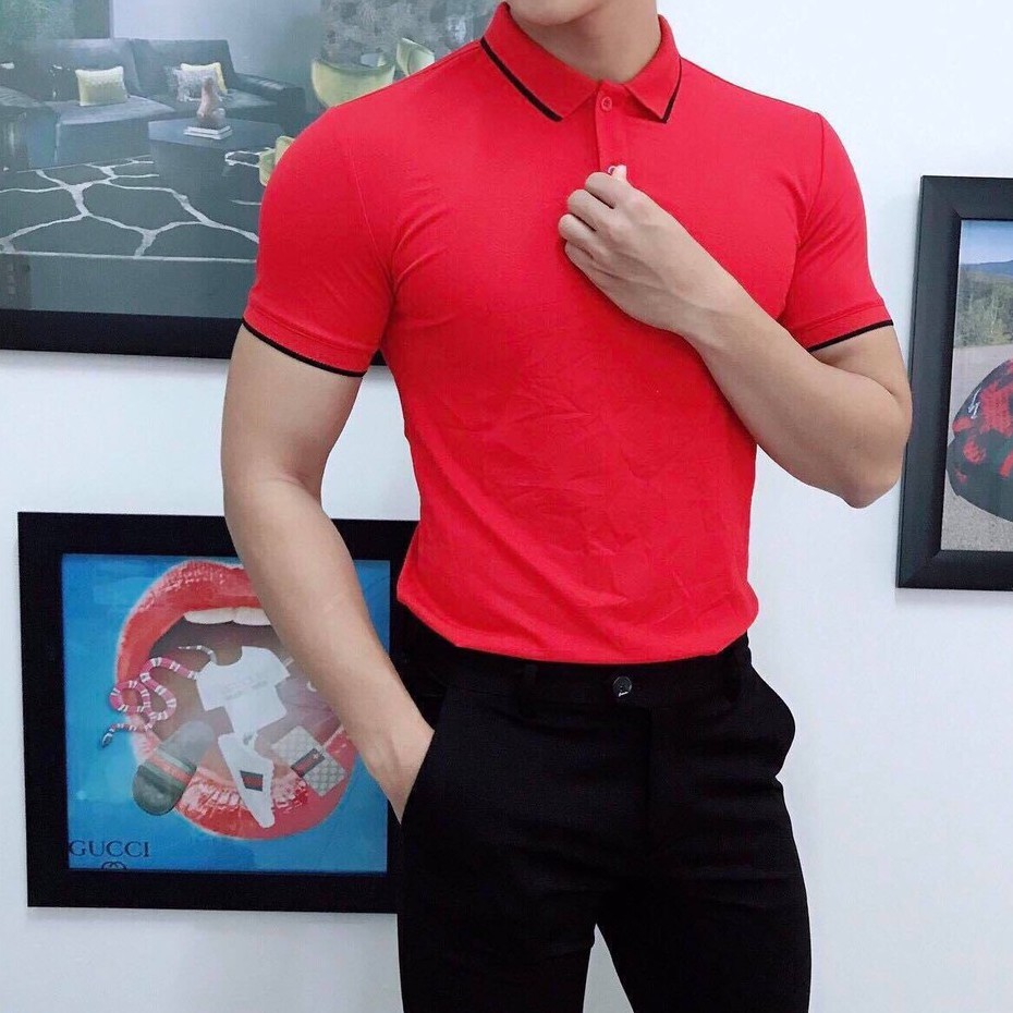 Áo polo nam, áo phông cổ bẻ nam chất đẹp 6 màu basic dễ phối đồ (ACBPV) | BigBuy360 - bigbuy360.vn