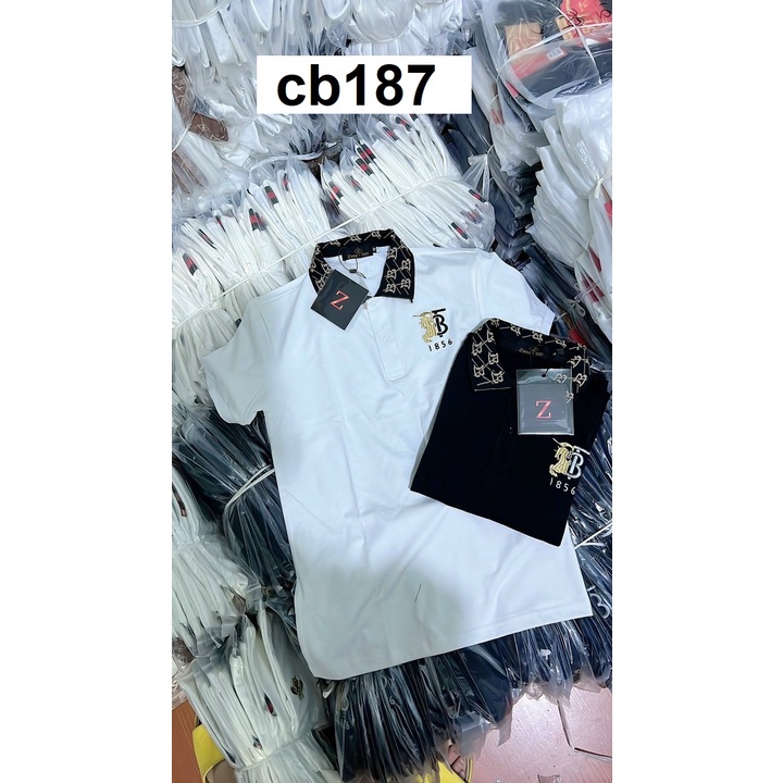 Sỉ áo thun polo nam tay ngắn thêu Mã CB187 [tnhung]