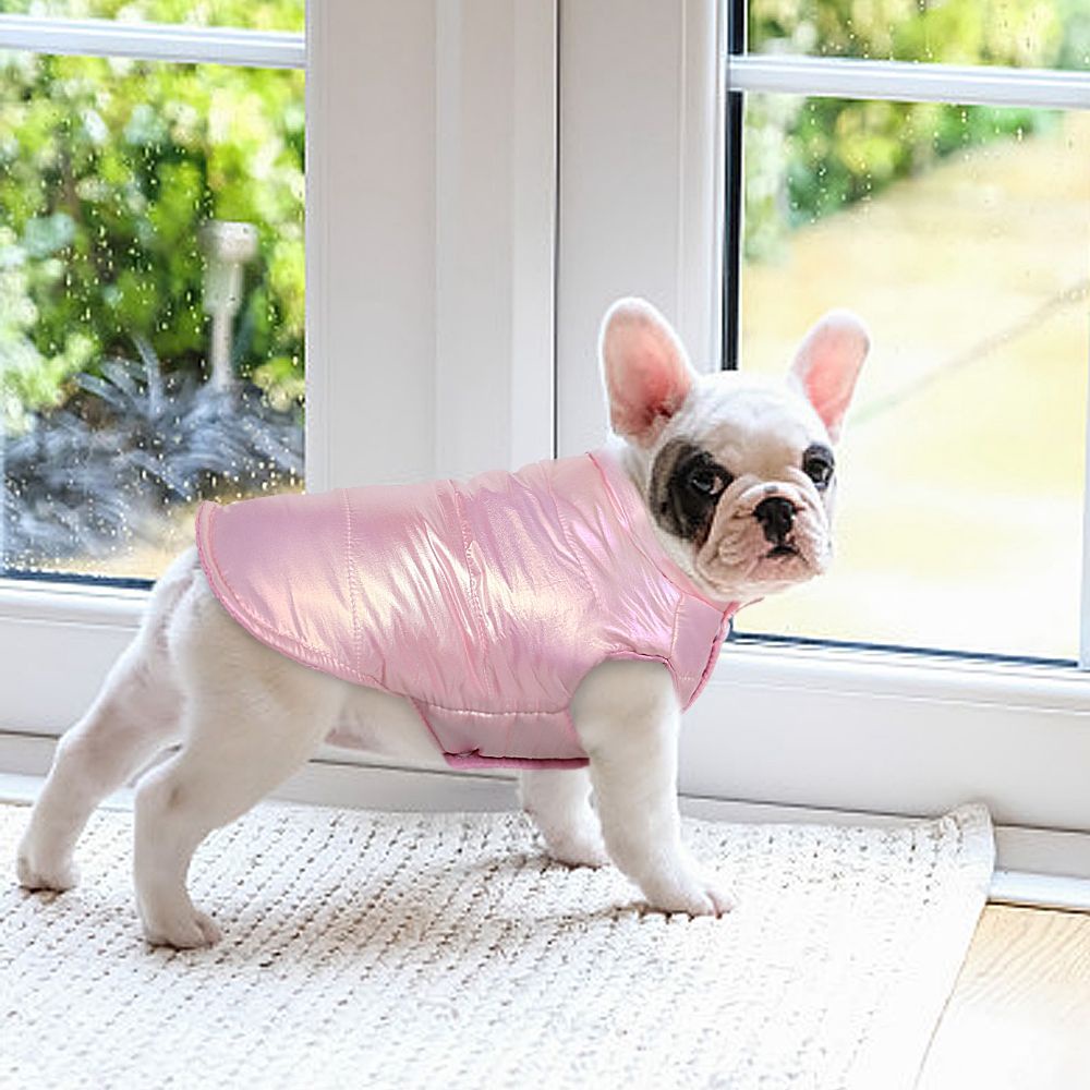 AARON1 Áo khoác giữ ấm mùa đông chống thấm nước cho chó Chihua chó Bulldog cỡ lớn nhiều màu sắc