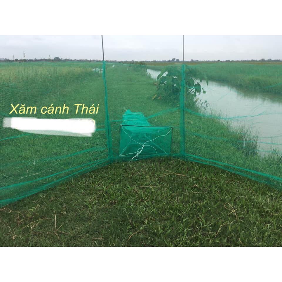 Đăng chặn sông, cống - bắt tôm tép tất cả các loại cá - Dớn bắt cá, cua, lươn - Top1VN chất lượng 102