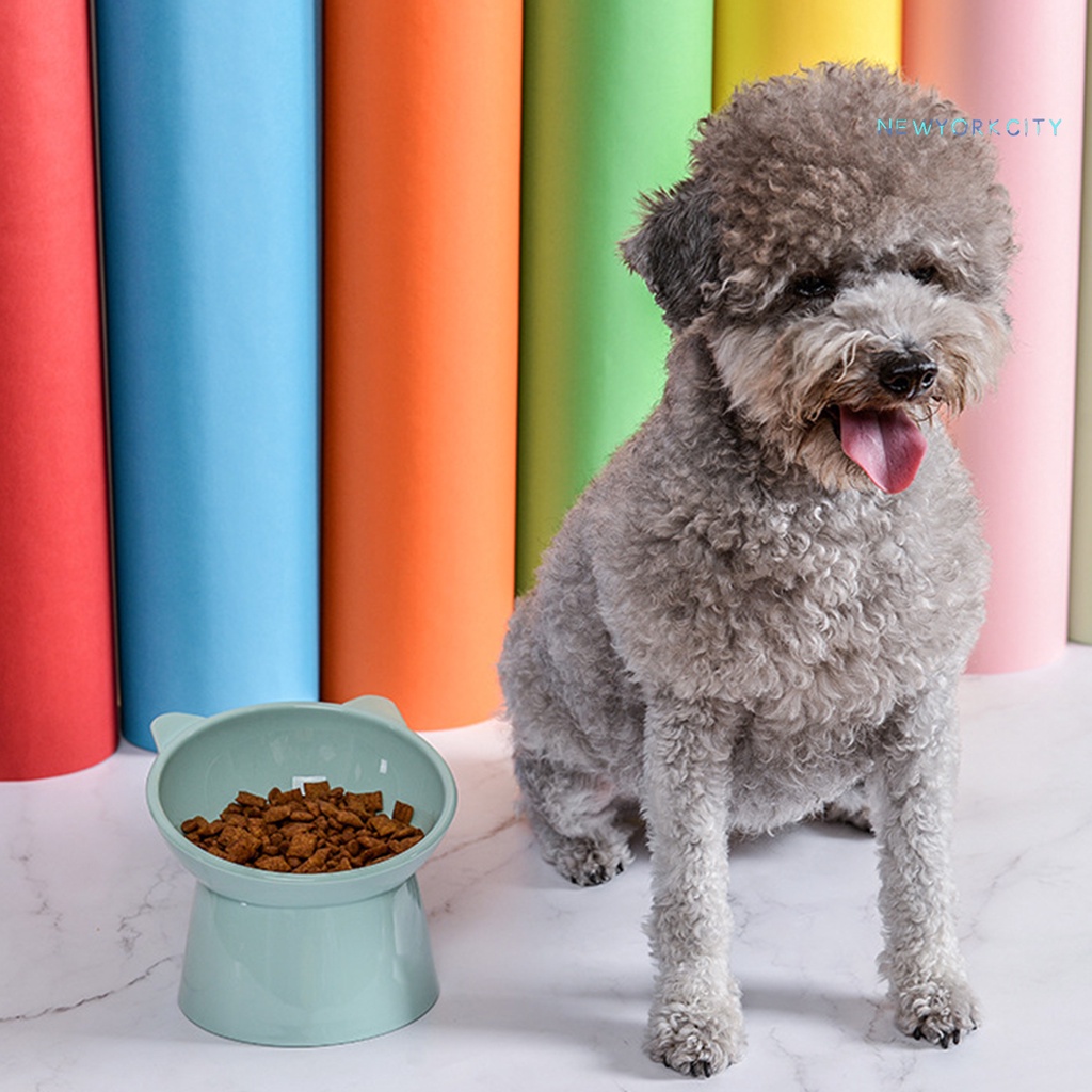 Bát Ăn Uống Bảo Vệ Cổ Dành Cho Thú Cưng