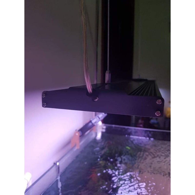 Bộ kit treo Netlea RGB