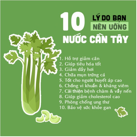 Bột Cần Tây Nguyên Chất Sấy Lạnh Giảm Cân Làm Đẹp Da 100g