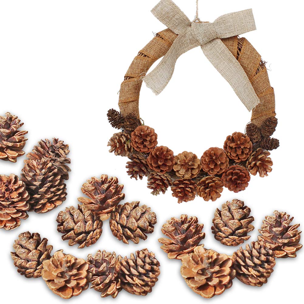 Quả thông khô dùng trang trí