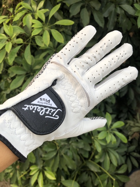 Gang tay titliest da