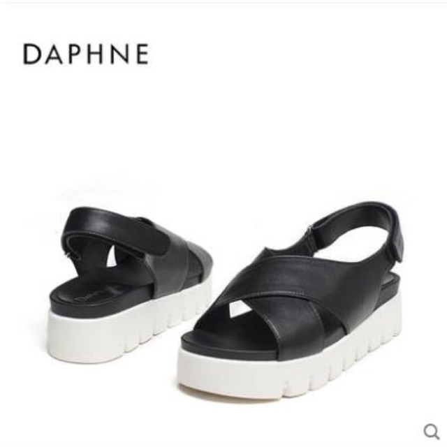 Sandan daphne