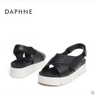 Sandan daphne
