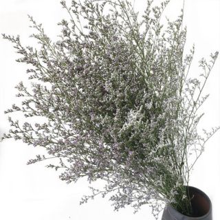 Hoa sao khô (Cỏ tình nhân) màu tự nhiên bó 100g