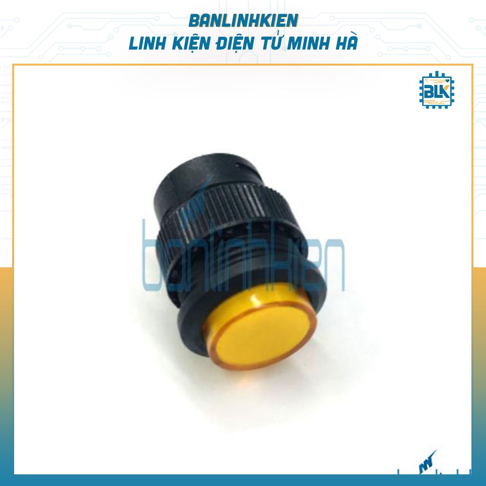 Công Tắc Đề R16-503BDY 16MM Vàng