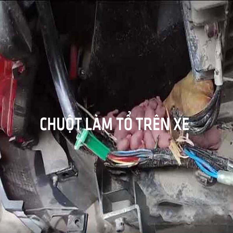 Chai Xịt Chống Chuột Ô Tô Bảo Vệ Động Cơ Và Dây Điện An Toàn Hiệu Quả Dung Tích 240ML