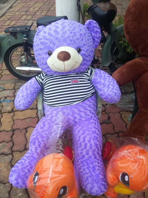 Gấu teddy khổ vải 1m5