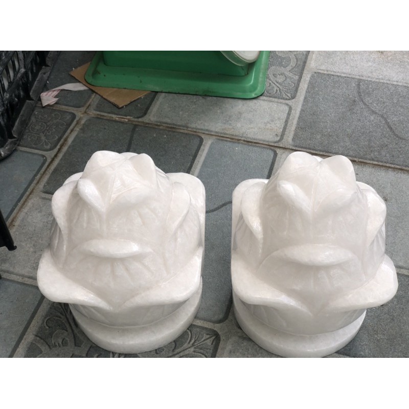 Cặp hoa sen đá non nước 18x20 cm HANMYNGHE