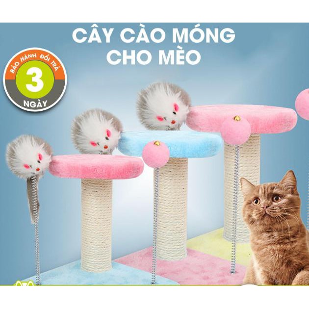 TRỤ CÀO MÓNG MÈO