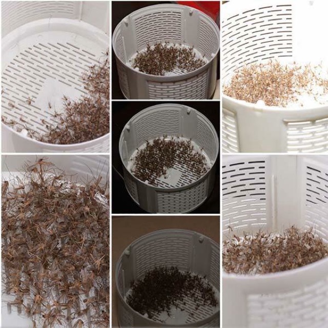 MÁY BẮT MUỖI TỰ ĐỘNG CAO CẤP ĐÈN BẮT MUỖI HÌNH TRỤ THÔNG MINH