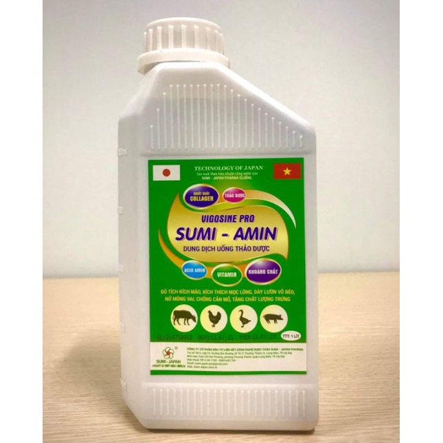 Sumi Amin vỗ béo,tăng trọng nhanh