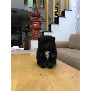 Áo heyyou size L