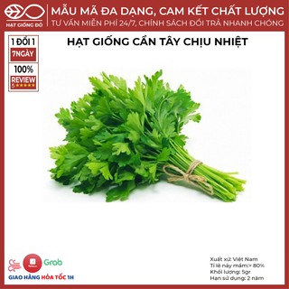 Hạt Giống Cần Tây Chịu Nhiệt (5gr) - Cây sinh trưởng, phát triển nhanh, kháng bệnh tốt