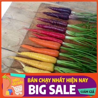 300h - hạt giống cà rốt cầu vồng