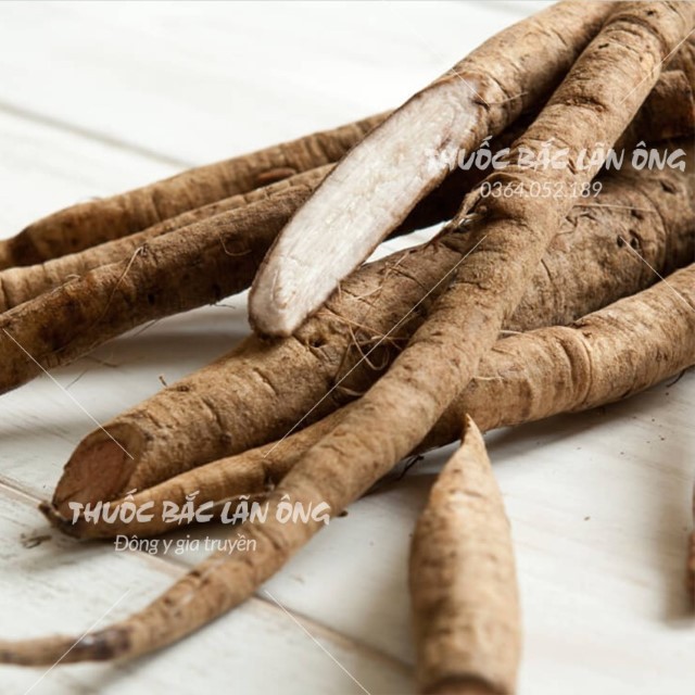 Ngưu Bàng 500g (Ngưu Báng Khô,Trắng)