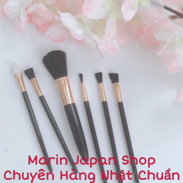 Sét 6 chiếc chổi cọ mini trang điểm hàng Nội Địa Nhật Bản