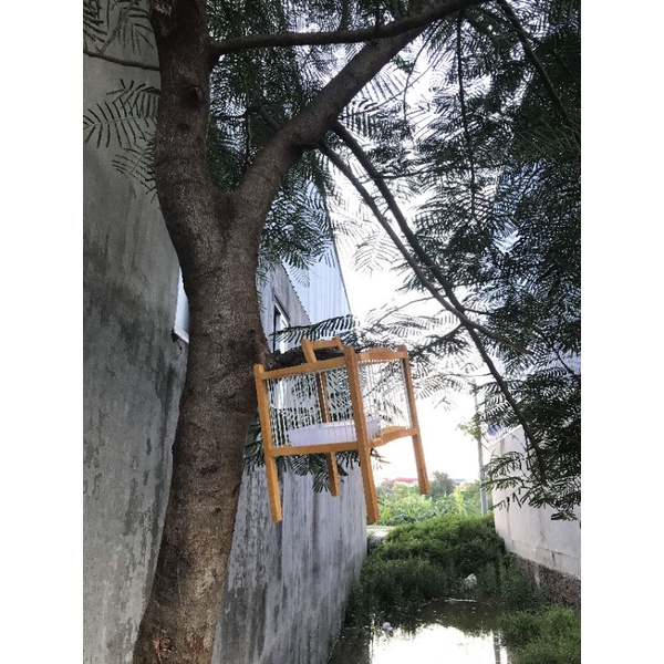 LỒNG TẮM KHUYÊN NAN CÁP QUANG  khuyên loại nhỏ nha khách