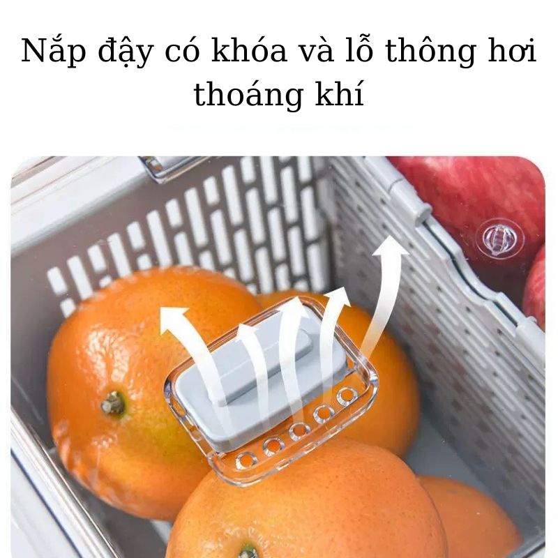 Hộp nhựa đựng thực phẩm ủ lạnh có nắp hai lớp thoáng khí dễ dàng bảo quản
