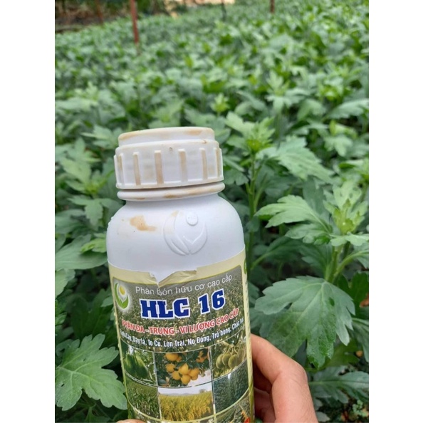 PHÂN BÓN HỮU CƠ CAO CẤP HLC 16 - PHÂN BÓN LÁ KÍCH MẦM KÍCH CHỒI DƯỠNG TRÁI CHO CÂY ĂN QUẢ, HOA, CÂY CẢNH, RAU MÀU- 500ML