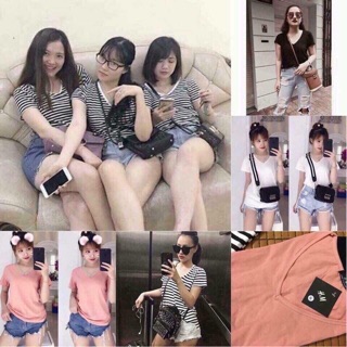 Áo phông HM cổ tim