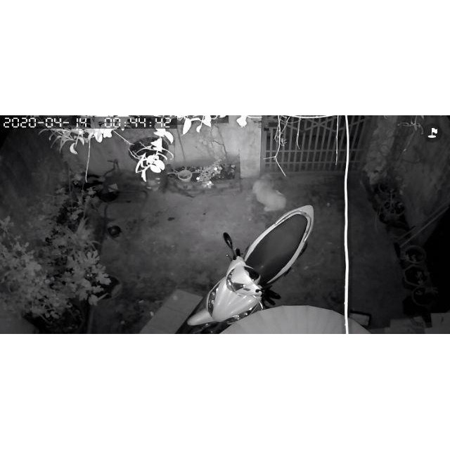 CAMERA YOOSEE  XOAY 360  HD TIẾNG VIỆT, QUAN SÁT RÕ NGÀY ĐÊM | BigBuy360 - bigbuy360.vn