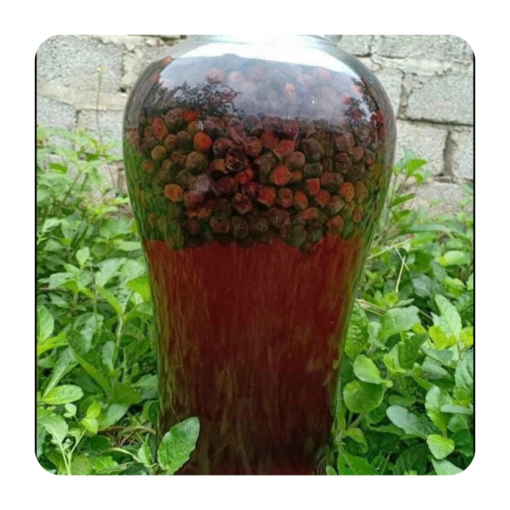 Sim rừng khô loại 1 hàng mới hỗ trợ hệ tiêu hoá, tăng cường sinh lý túi 1kg | BigBuy360 - bigbuy360.vn