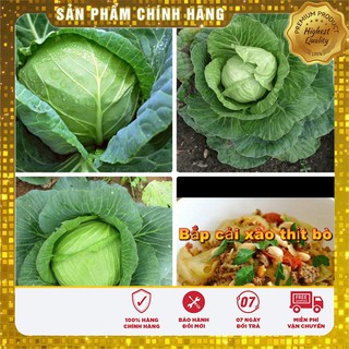 Bộ gói hạt giống Cải bắp