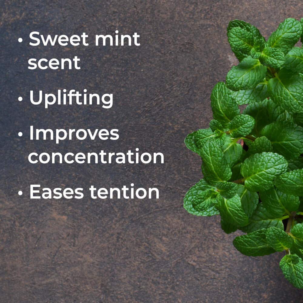 Plant Therapy - Tinh Dầu Bạc Hà Lục Hữu Cơ - Spearmint Organic KidSafe Essential Oil - 10mL