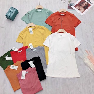 Áo thun ôm cổ lọ 3 phân