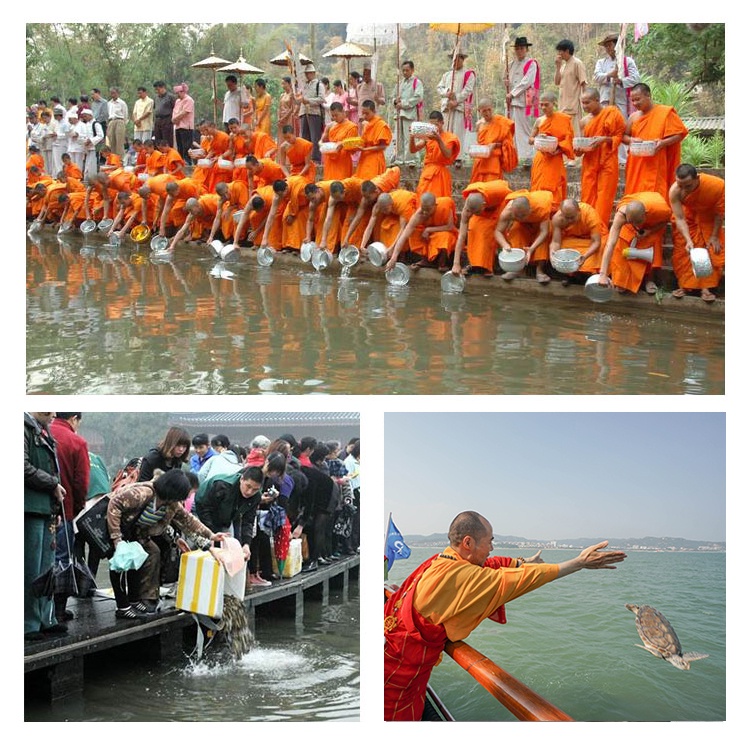 Ngọc Mani Long vương đàn thành - Pháp khí Mật Tông - Phật giáo Tây Tạng